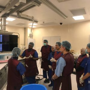 TWIN Team Training 2025