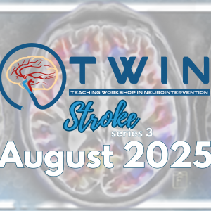 2025 TWIN Stroke Series 3